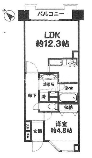 1LDK