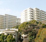 シティコート目黒