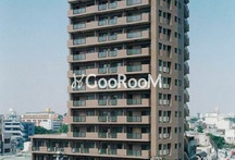 グランド・ガーラ南大井