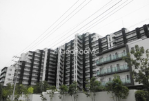 シティテラス成増