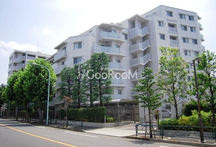 ルフォン中野上鷺宮