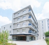 ルーウェ東大泉