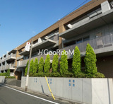 コリーヌ自由が丘