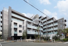 JPノイエ等々力