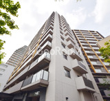 アデニウム新小岩