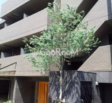 ラフィーヌ上目黒