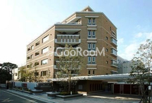 蒼映パーク原宿