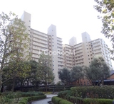 パークサイド・ウイングス