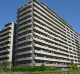 クリオレジダンス東京