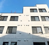 オルタナ早稲田