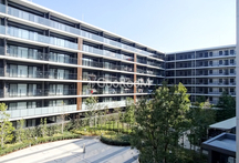 シティテラス横浜綱島