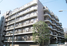 インペリアル南麻布コート&サテライト