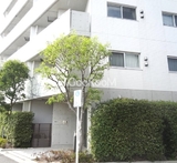 ブリリアイスト北沢ケヤキ