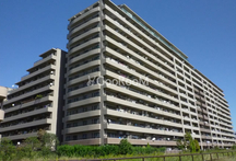 クリオレジダンス東京