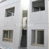 メイプル新中野