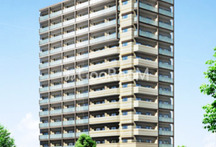 アデニウム東日本橋