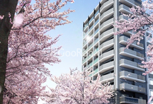 ザ・グローベル南大塚