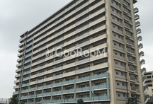 東京ベイリベロシティ