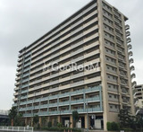 東京ベイリベロシティ