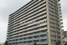 東京ベイリベロシティ