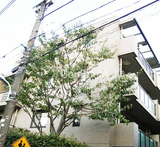 パロス駒場東大前