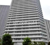コットンハーバータワーズ